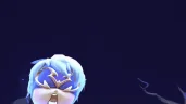 DIESOFLEESIN emote