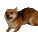 dogSpin