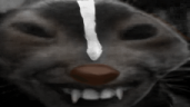 kyoxdd emote