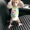 OhNo emote