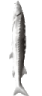 JoelStop emote