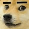 dogeFlirt emote