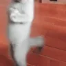 RIP emote