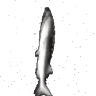 Joel2fast emote
