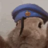 anaVibe emote