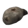 xokSleep emote