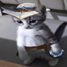 Syn emote