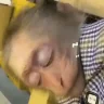 SleepMonkey emote