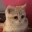 Emote