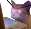 Hatewatching emote