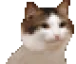 tudasuda