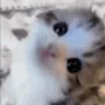 yesmomtina emote