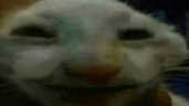 xddO emote