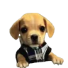bork emote