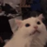 HYPERMYAAA emote