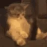 koking emote