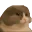 CatNum