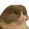CatNum emote