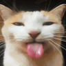 :P emote