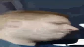 jasperCola2 emote