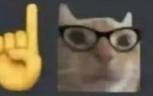 catnerd emote