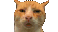 HUH