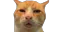 Emote