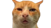 HUHHH emote