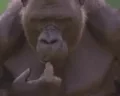 Thinking emote