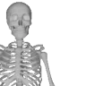 NOIDONTTHINKSO emote