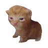 RobertJam emote