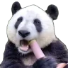 gladdEAT emote