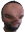 trill5HEAD