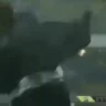 PiojoLETSGO emote