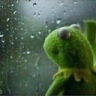 sadKermit emote