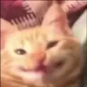 :pp emote