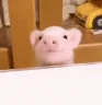 svinka emote