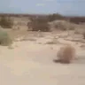 OnlyDesert emote