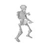 SkeletonPls emote