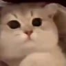 :3 emote