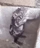 RatTakingAShower emote