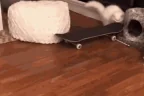 skate emote
