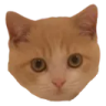 beauStare emote