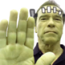 arnoldHalt