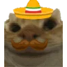SiSi emote