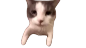 catKISS emote
