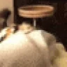 EATINGASS emote