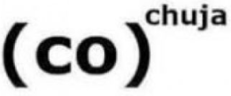 codochuja emote