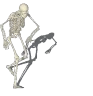 capoeira emote