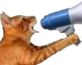 sexooooo emote